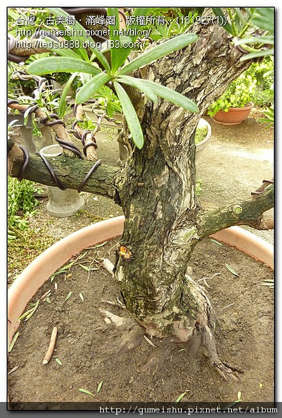 161927(1).jpg 161927(1).jpg