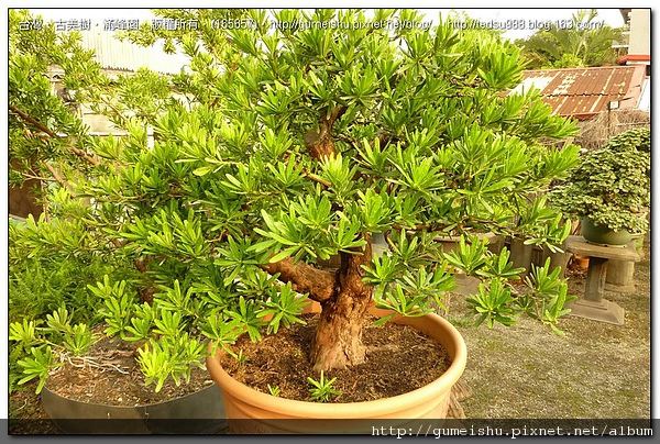 165657.jpg 165657.jpg