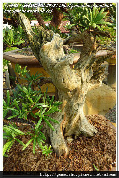 P1280227.jpg P1280227.jpg