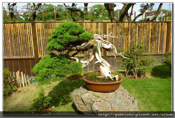 P1190047.jpg P1190047.jpg