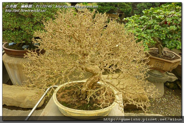 P1170146.jpg P1170146.jpg