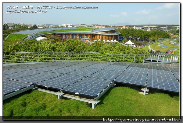 P1180846.jpg P1180846.jpg