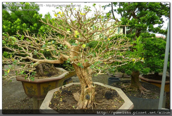 P1160476.jpg P1160476.jpg