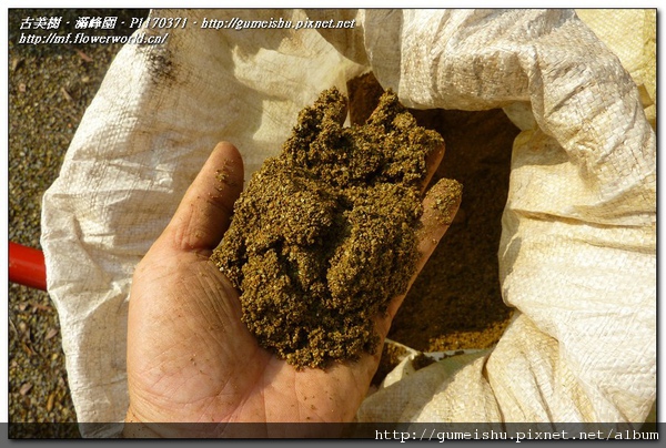 P1170371.jpg P1170371.jpg