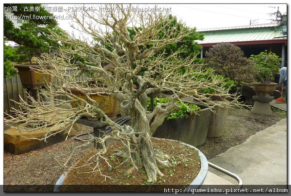 P1200546.jpg P1200546.jpg