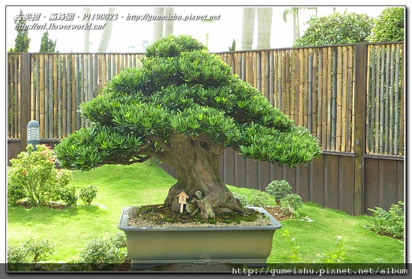 P1190023.jpg P1190023.jpg