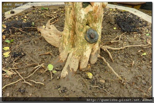 P1160472.jpg P1160472.jpg