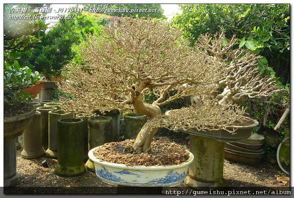 P1170441.jpg P1170441.jpg