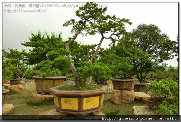 P1160612.jpg P1160612.jpg