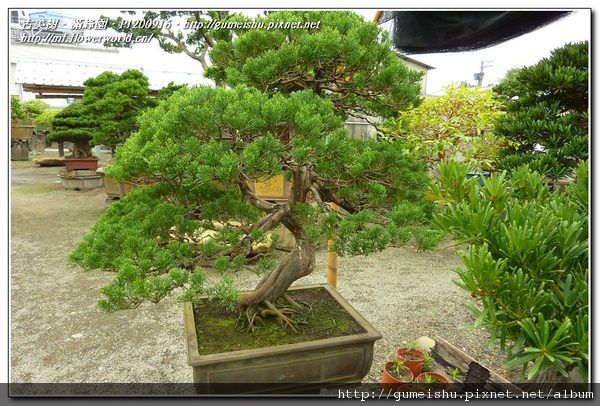 P1200916.jpg P1200916.jpg