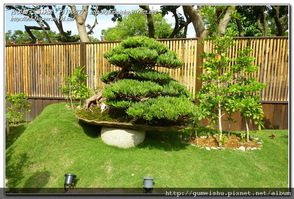 P1190032.jpg P1190032.jpg