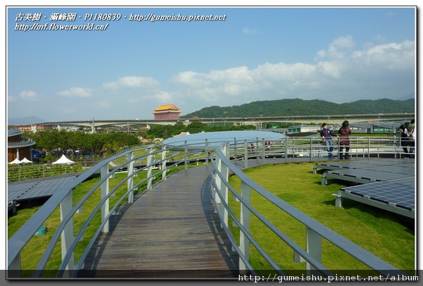 P1180839.jpg P1180839.jpg