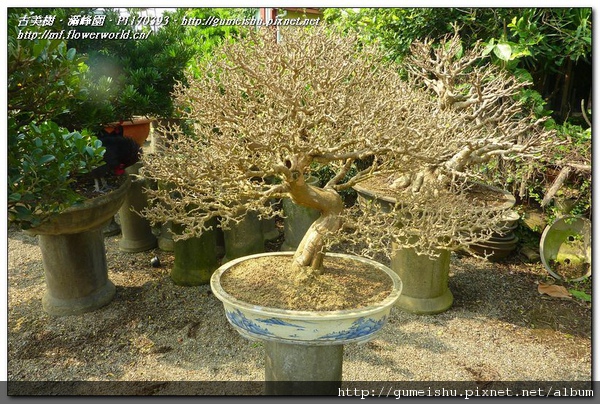 P1170393.jpg P1170393.jpg