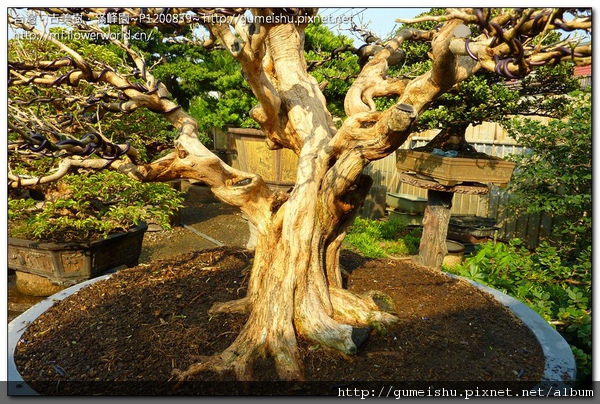 P1200839.jpg P1200839.jpg