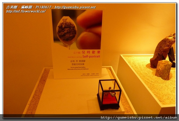 normal 9a3964a973a2bce875cabab7c9153527 走馬看花之~2010臺北國際花卉博覽會~#4~文化館(毫芒雕) 盆栽樂趣(Travel)