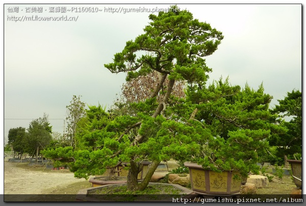 P1160610.jpg P1160610.jpg