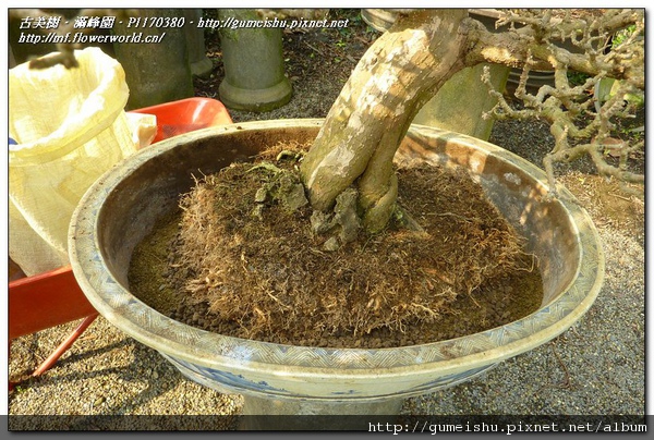 P1170380.jpg P1170380.jpg