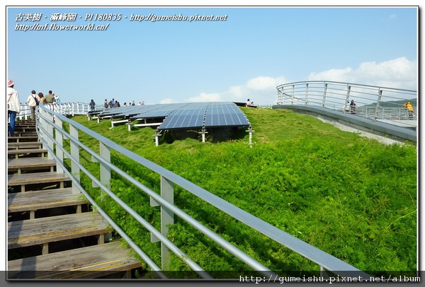 P1180835.jpg P1180835.jpg