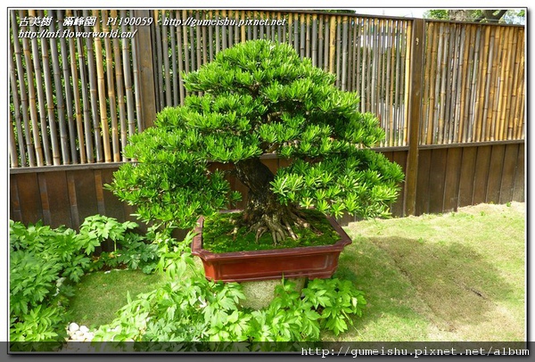 P1190059.jpg P1190059.jpg