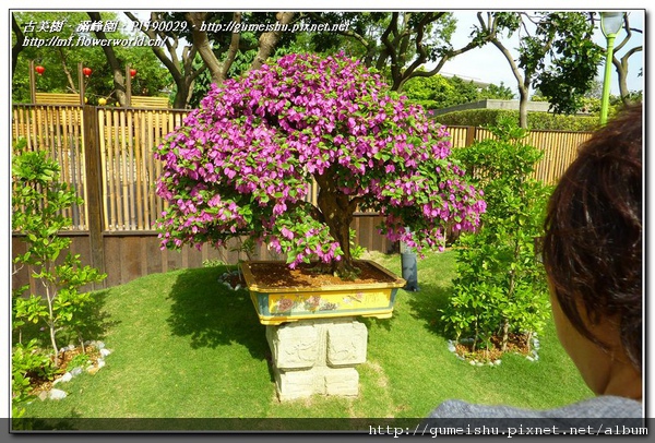 P1190029.jpg P1190029.jpg