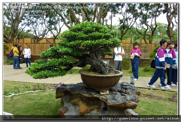 P1190005.jpg P1190005.jpg