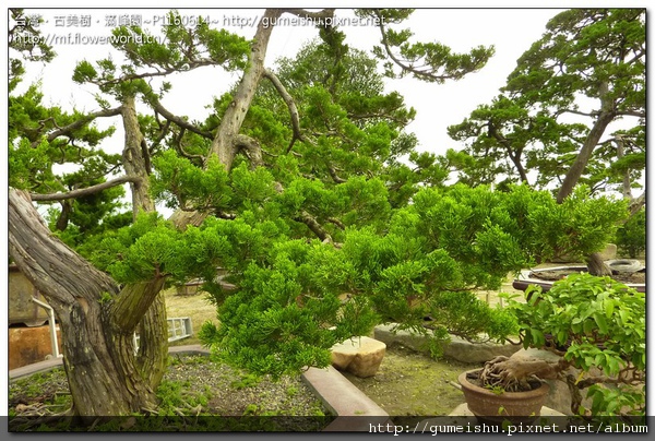 P1160614.jpg P1160614.jpg