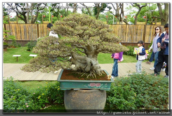 P1190013.jpg P1190013.jpg