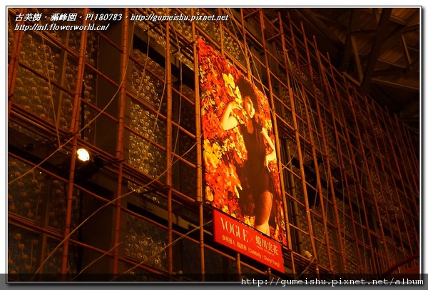 P1180783.jpg P1180783.jpg