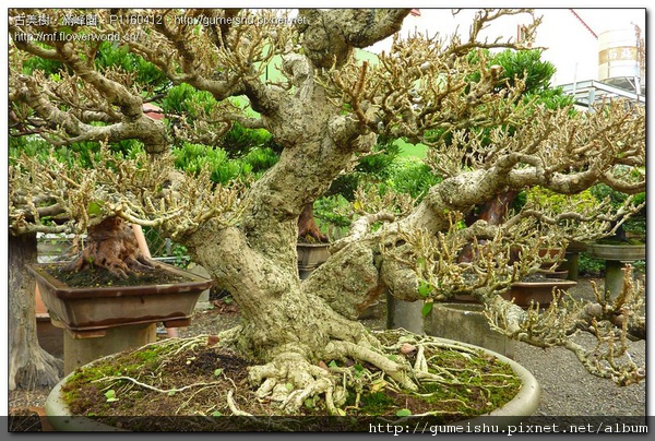 P1160412.jpg P1160412.jpg