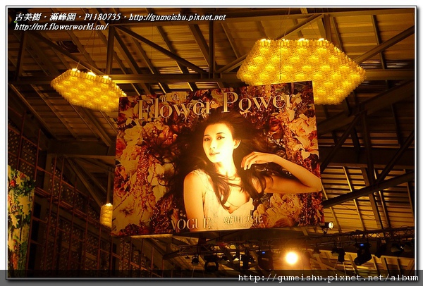 P1180735.jpg P1180735.jpg