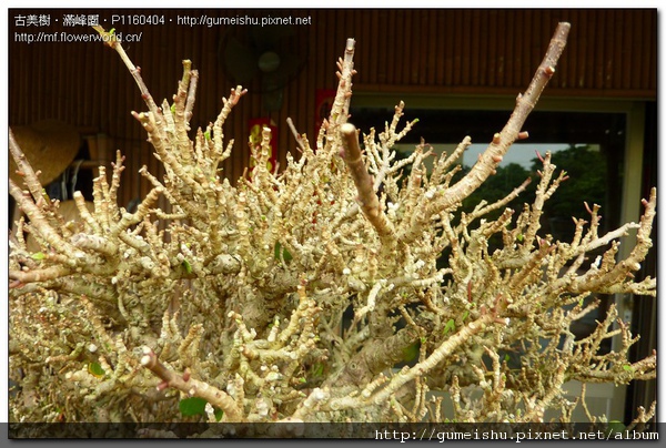 P1160404.jpg P1160404.jpg