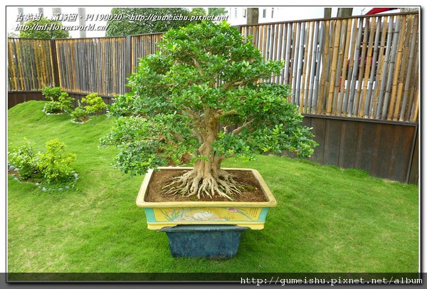 P1190020.jpg P1190020.jpg