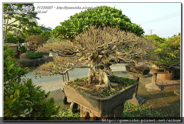 183178_130970536973496_11.jpg 183178_130970536973496_11.jpg