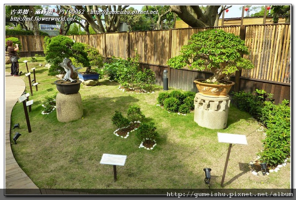 P1190052.jpg P1190052.jpg