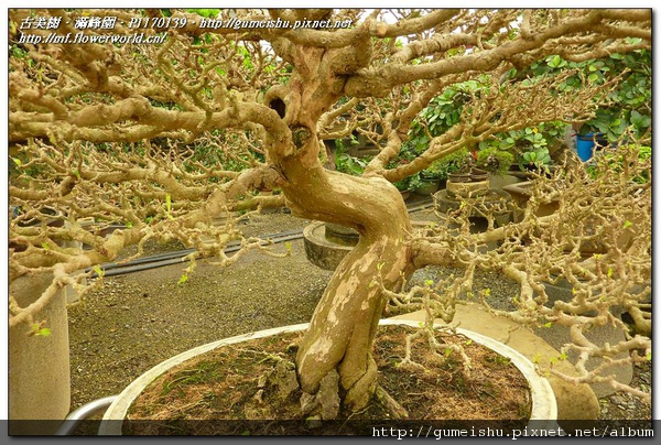 P1170139.jpg P1170139.jpg