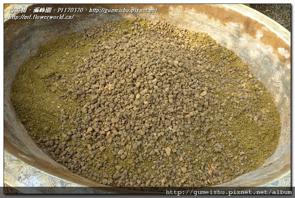 P1170370.jpg P1170370.jpg