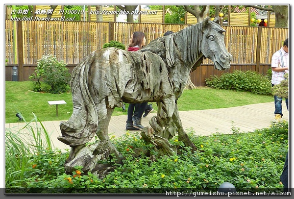 P1190010.jpg P1190010.jpg