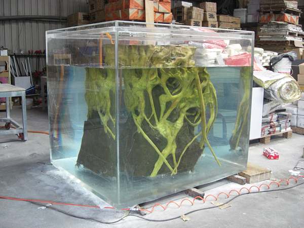 img12.壓克力魚缸-3 (美式拉邊) img12.壓克力魚缸-3 (美式拉邊)