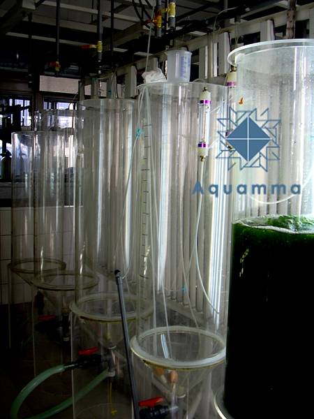 img36.藻桶反應器-2 img36.藻桶反應器-2