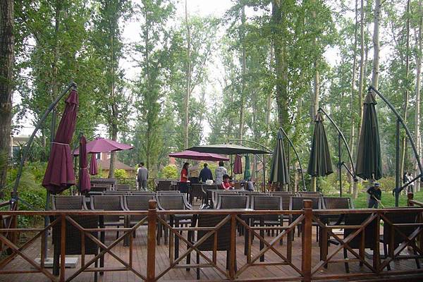 P1060139-1 P1060139-1