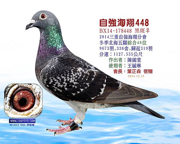 2014三重自強冬綜合48 2014三重自強冬綜合48