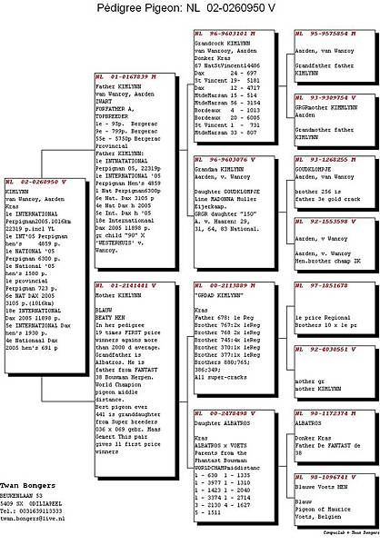 NL02-0260950 NL02-0260950