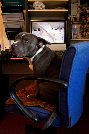 辦公家具 辦公家具