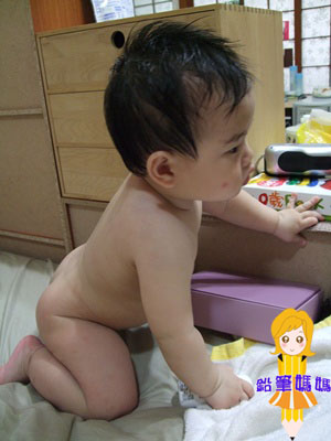 DSCF3809拷貝.jpg DSCF3809拷貝.jpg