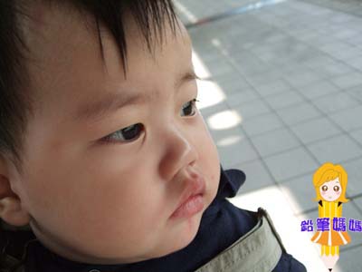 DSCF4368拷貝.jpg DSCF4368拷貝.jpg