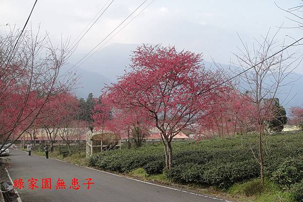 DSC03767 DSC03767
