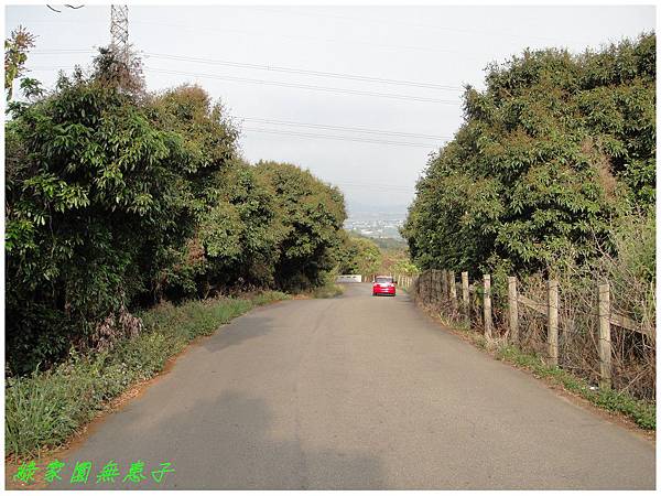八卦山 034 八卦山 034