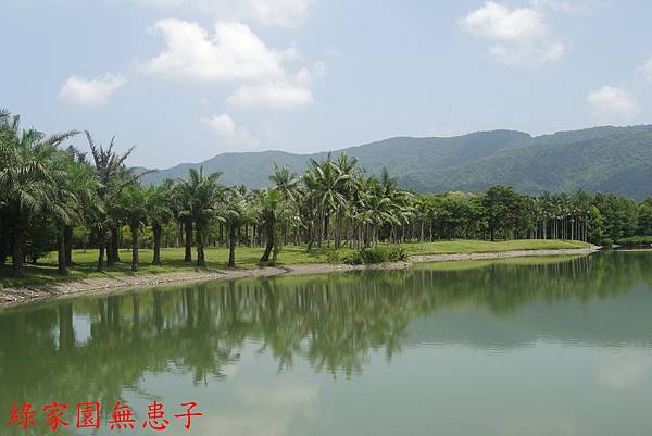 DSC02779 DSC02779