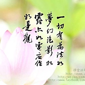 06 06