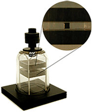 lev100.gif lev100.gif